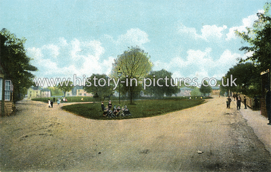 The Green, Writtle, Essex. c.1905
